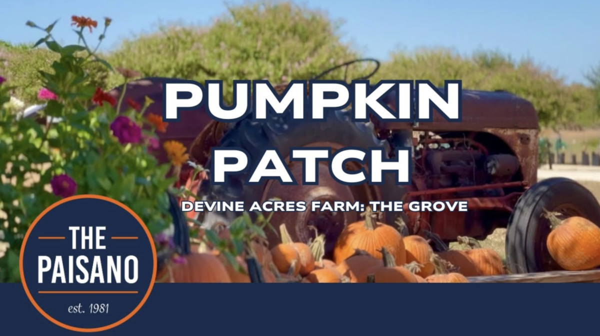 Visit to the Devine Acre Farm: The Grove